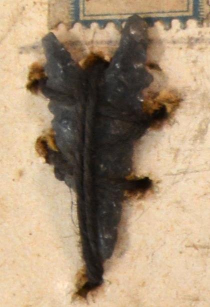 V C 7971