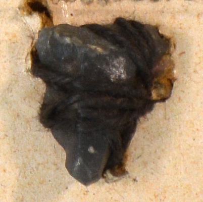 V C 7974