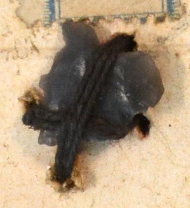 V C 7975