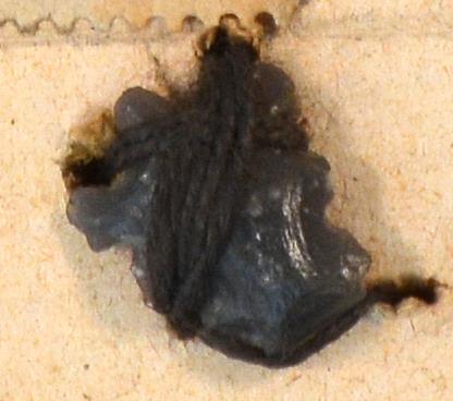 V C 7976