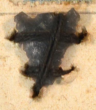 V C 7986