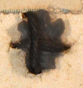 V C 7988