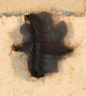 V C 7989