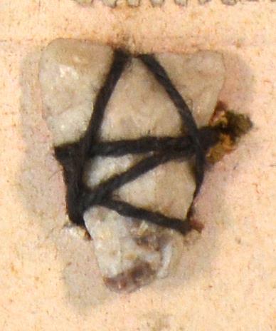 V C 7868