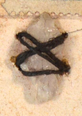 V C 7899