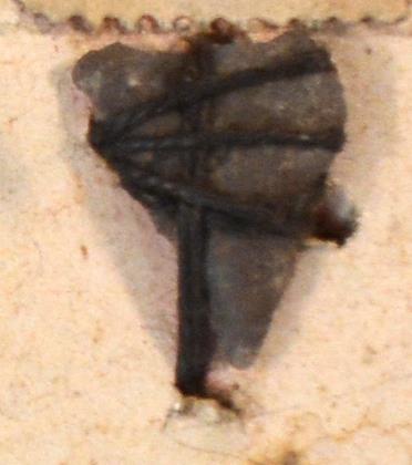 V C 7901