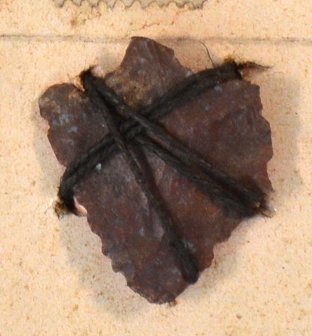 V C 7908