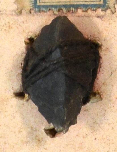 V C 7928