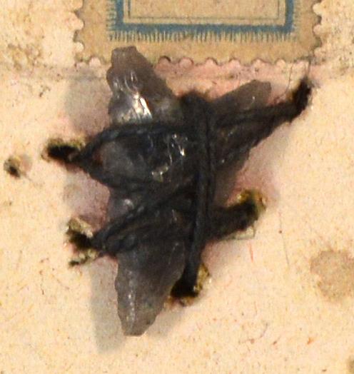 V C 8099