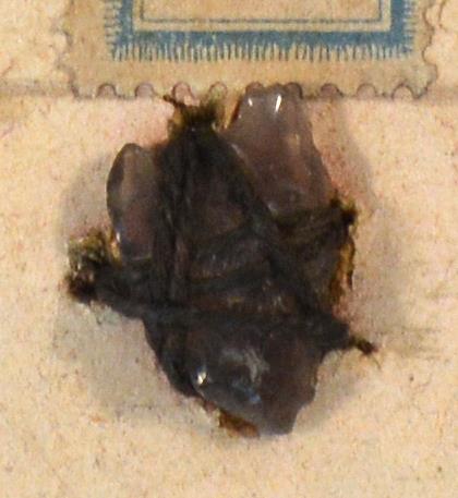 V C 8123