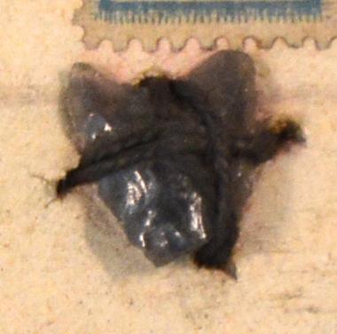 V C 8133
