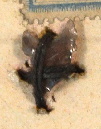 V C 8134