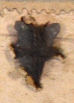 V C 8156