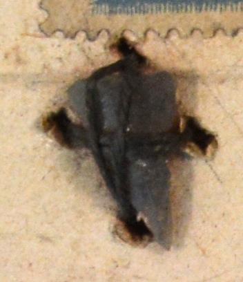 V C 8159