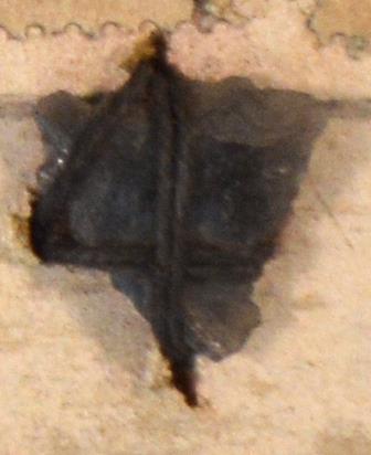 V C 8163