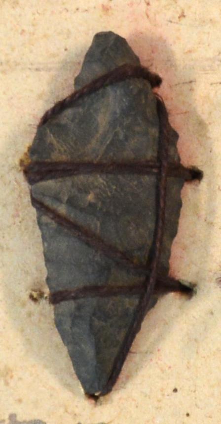 V C 8191