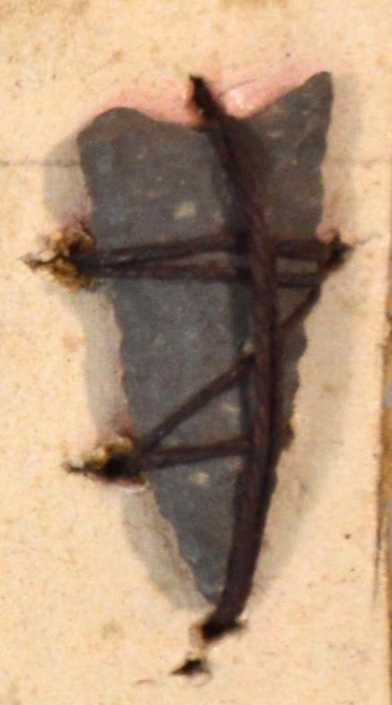 V C 8194