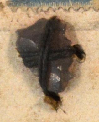 V C 8149