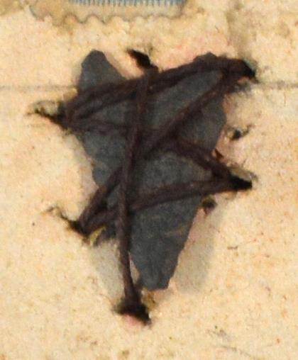 V C 8224