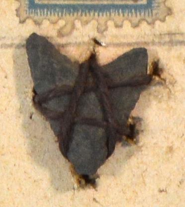 V C 8225