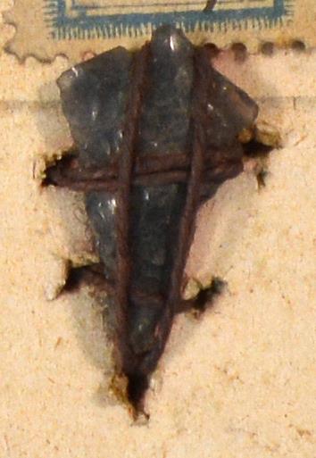 V C 8232