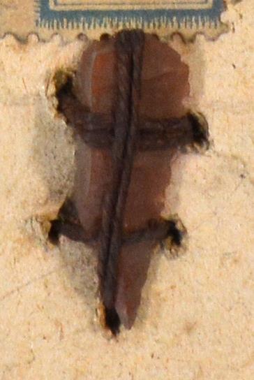 V C 8245