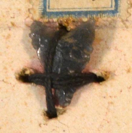 V C 8029