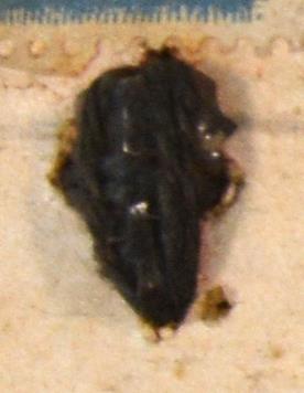 V C 8057