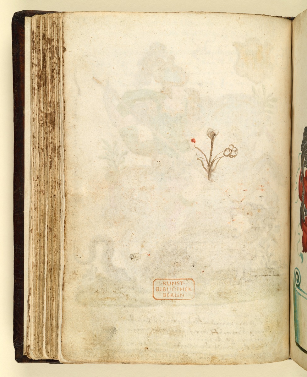Stammbuch des Leonhard Hayder von Nürnberg: Drachentöter