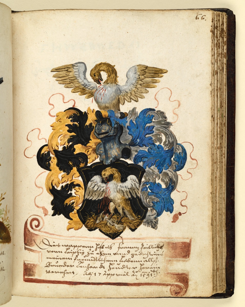 Stammbuch des Leonhard Hayder von Nürnberg: Wappen