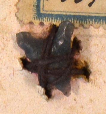 V C 8381