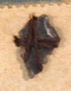 V C 6889