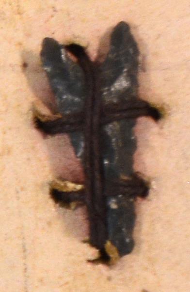 V C 8252