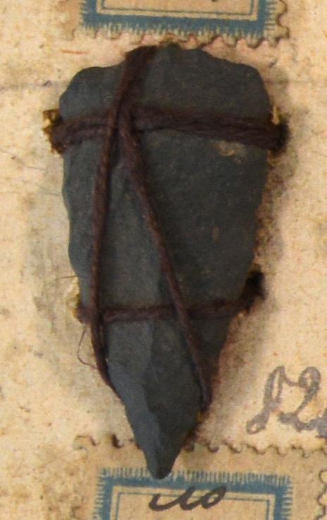 V C 8258