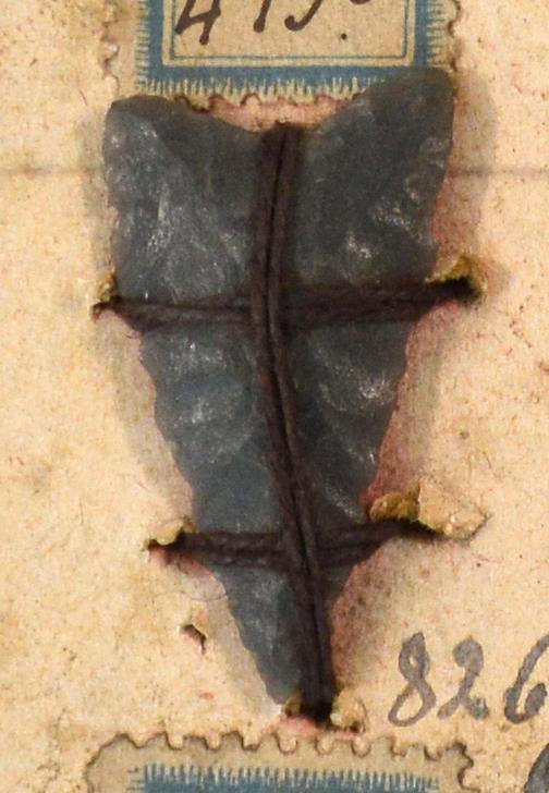 V C 8259