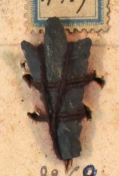 V C 8260