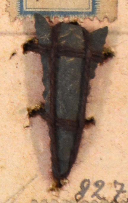 V C 8262