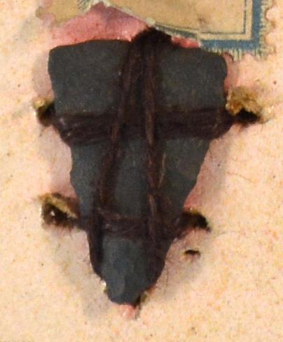 V C 8356