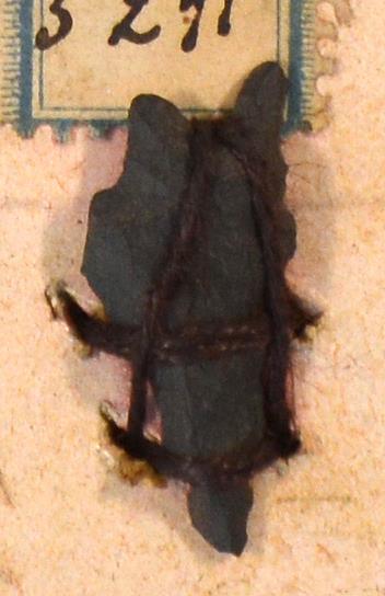 V C 8359