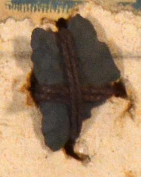 V C 8485