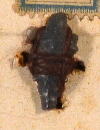 V C 8492