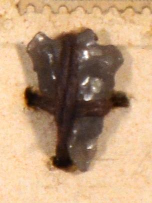 V C 8496