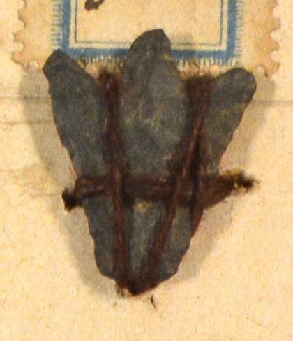 V C 8444