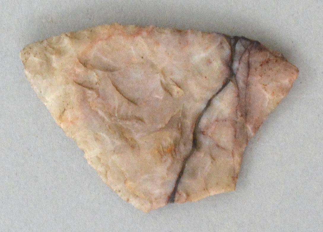 V C 10144