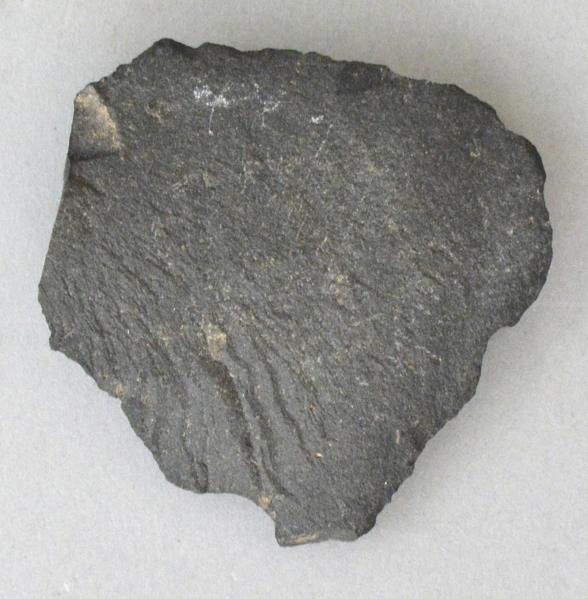 V C 10428