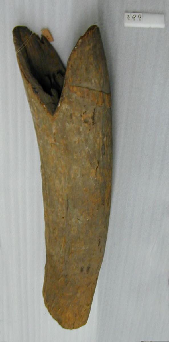 VI Nls 3579