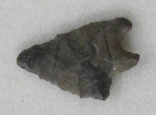 V C 3795