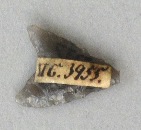 V C 3955