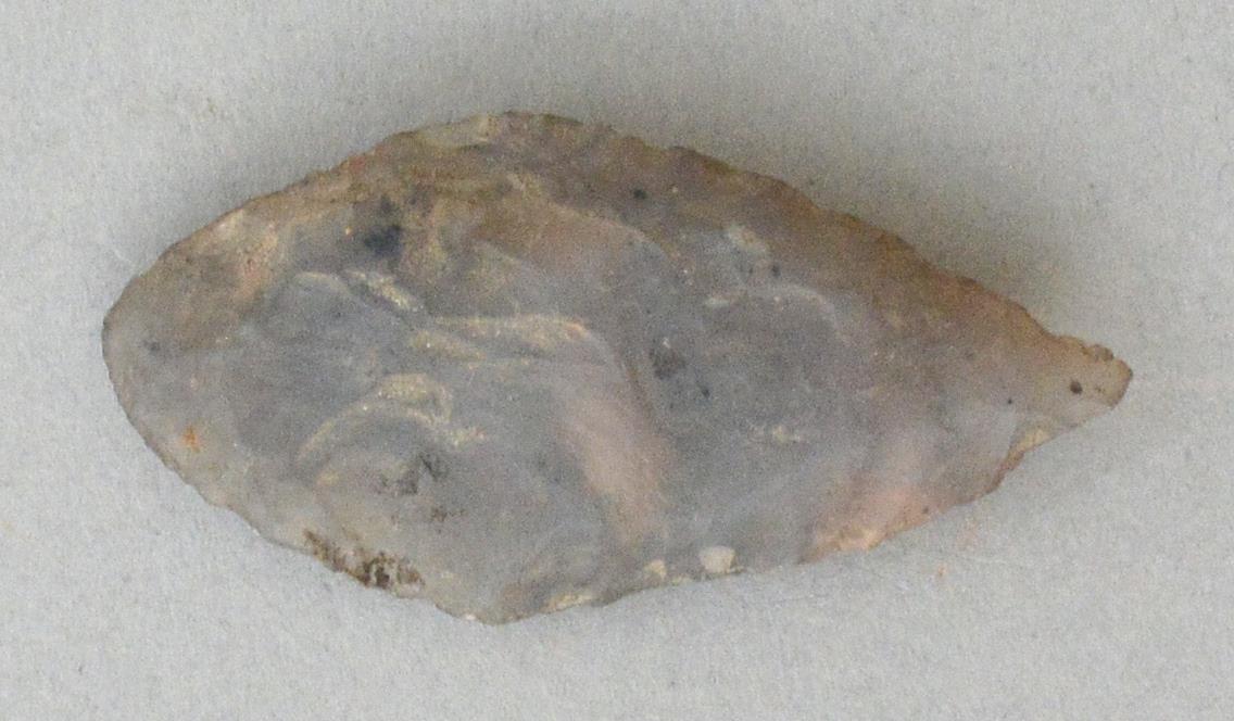 V C 3981