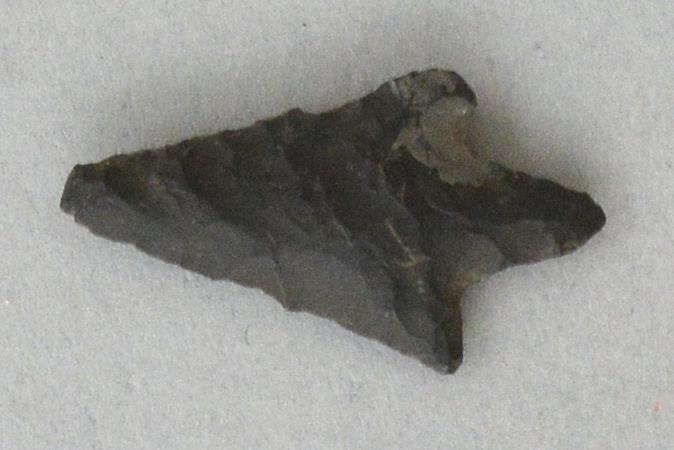 V C 3983